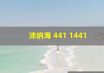 沛纳海 441 1441